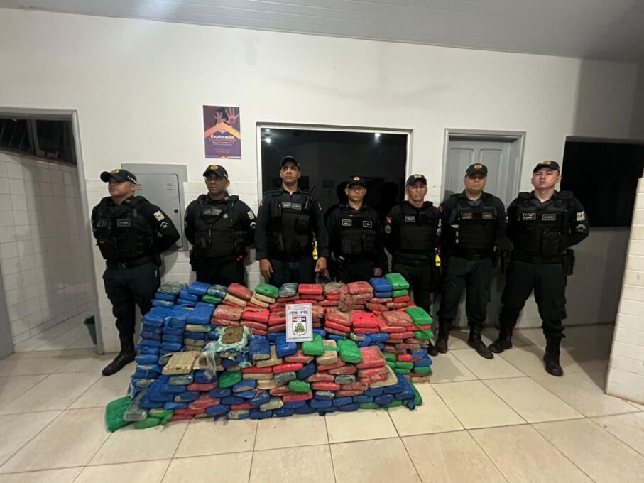 PMPA apreende mais de 460 kg de entorpecentes na BR-153 durante a “Operação Fim de Linha” em São Domingos do Araguaia 3 image 2